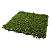 Césped artificial Ibiza (5 x 2 m, Altura del pelo: 40 mm, 27.300 puntadas/m²) | BAUHAUS