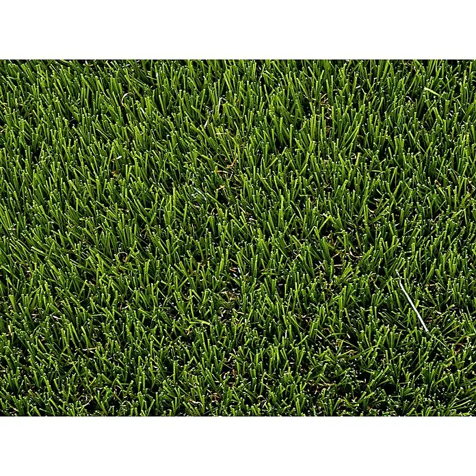 Césped artificial Creta - 5 x 1 m, Altura del pelo: 45 mm, 28.350 puntadas/m² - Primer plano de césped artificial que muestra una superficie densa y verde con hojas cortas. Ideal para jardines y campos deportivos.