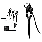 Paulmann Plug & Shine LED-Gartenspot-Set (3 x 2,5 W, 24 V, IP65, Höhe: 90 mm)
