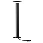 Paulmann Plug & Shine Aplique para exterior LED (1 luz, 6 W, Blanco cálido, IP44)