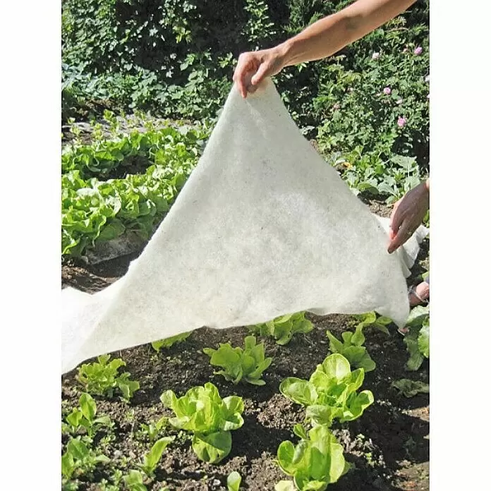 Windhager Kälteschutz Schafwoll-Vliesdecke - L x B: 2 x 1 m, Weiß - Anwendungsbeispiel