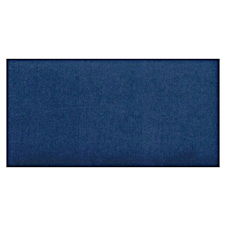 Fllow Deko-Wandpolster Velvet (Blau, L x B: 60 x 30 cm)