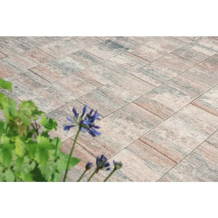 Diephaus Terrassenplatte Vallejo - 60 x 30 x 4 cm, Muschelbeige, Beton - Nahaufnahme von beigen und grauen Pflastersteinen, die ein stilvolles Muster bilden, mit einem Hauch von grüner Vegetation im Vordergrund.