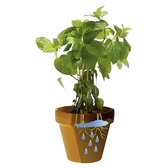 Altadex Riego para vacaciones Biogel - 200 ml - La imagen muestra una planta en una maceta, con una sección de la maceta que muestra las raíces y el sistema de riego.
