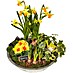 Piardino Garten-Arrangement Frühjahr 