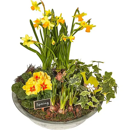 Piardino  Garten-Arrangement Frühjahr
