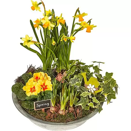 Piardino  Garten-Arrangement Frühjahr