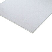 Rigips Gipskartonplatte (2.000 x 600 x 12,5 mm)