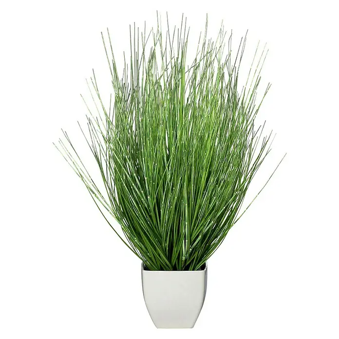 Kunstpflanze California-Beach-Gras - Hhe: 59,9 cm, Kunststoff online  kaufen bei BAUHAUS