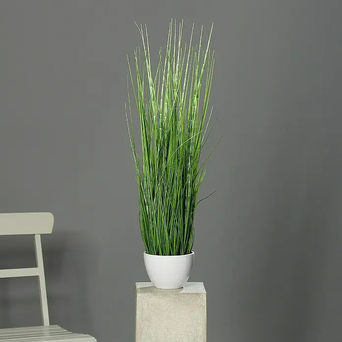 Kunstpflanze California-Beach-Gras - Höhe: 74 cm, Kunststoff - Dekorative Kunstpflanze im weißen Topf auf einem Betonsockel, die eine moderne und stilvolle Note verleiht. Passt perfekt zu minimalistischen Designs.
