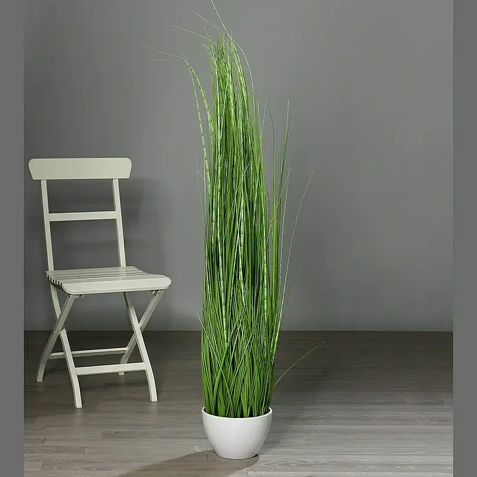 Kunstpflanze California-Beach-Gras - Höhe: 150 cm, Kunststoff - Dekorative Zimmerpflanze im weißen Topf neben einem Stuhl. Die Pflanze bringt einen Hauch von Natur in Ihr Zuhause.
