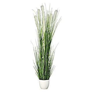 Kunstpflanze Grasarrangement (Höhe: 180 cm, Kunststoff)