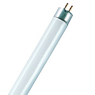 Osram Tubo fluorescente T5FQ (24 W, T5, Blanco frío, Largo: 563,2 mm)