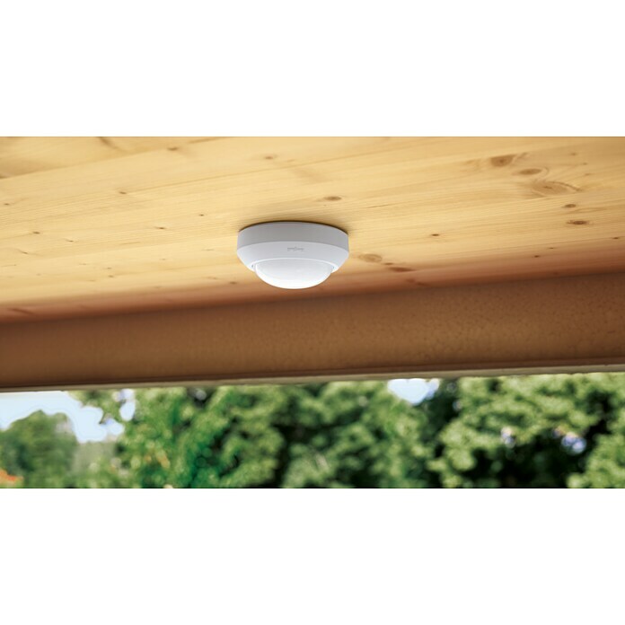 Steinel Sensor de movimiento (Negro, Alcance: 12 m, 360 °)