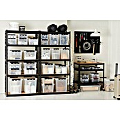 SmartStore Aufbewahrungsbox Classic (L x B x H: 50 x 39 x 41 cm, Kunststoff, Transparent)
