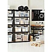 SmartStore Aufbewahrungsbox Classic (L x B x H: 30 x 19 x 11 cm, Kunststoff, Transparent)