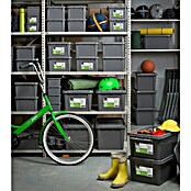 SmartStore Aufbewahrungsbox (L x B x H: 40 x 30 x 18 cm, Kunststoff, Taupe)