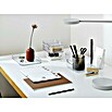 SmartStore Aufbewahrungsbox (L x B x H: 29,5 x 19,5 x 12 cm, Kunststoff, Transparent)