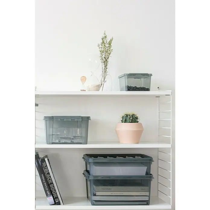 SmartStore Aufbewahrungsbox Colour 14 - L x B x H: 40 x 30 x 18 cm, Kunststoff, Grau - Bücherregal mit grauen Aufbewahrungsboxen, einer Sukkulente und einer Sanduhr auf den Regalen, die eine organisierte Ästhetik zeigen.