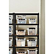 SmartStore Aufbewahrungsbox (L x B x H: 50 x 39 x 18 cm, Kunststoff, Transparent)
