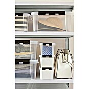 SmartStore Aufbewahrungsbox Classic (L x B x H: 38 x 14 x 11 cm, Kunststoff, Transparent)