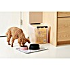 SmartStore Aufbewahrungsbox (L x B x H: 40 x 30 x 32 cm, Kunststoff, Transparent)