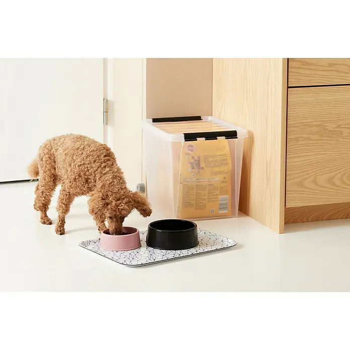 SmartStore Aufbewahrungsbox Classic 25 - L x B x H: 40 x 30 x 32 cm, Kunststoff, Transparent - Ein Pudel frisst aus einem rosa Napf auf einer gemusterten Matte, daneben ein Behälter für Tiernahrung und ein schwarzer Napf.