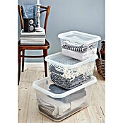 SmartStore Aufbewahrungsbox Basic S (L x B x H: 38 x 27 x 20 cm, 11 l, Mit Deckel) | BAUHAUS