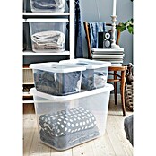 SmartStore Aufbewahrungsbox Basic S (L x B x H: 38 x 27 x 20 cm, 11 l, Mit Deckel) | BAUHAUS