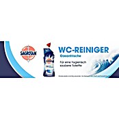 Sagrotan WC-Reiniger (Ozeanfrische, 750 ml, Flasche) | BAUHAUS