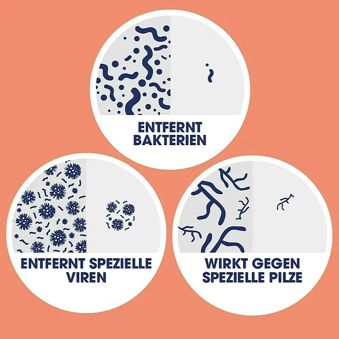 Sagrotan Reinigungstücher für Hände - 12 Stk. - Bild zeigt: "Entfernt Bakterien", "Entfernt spezielle Viren", "Wirkt gegen spezielle Pilze".