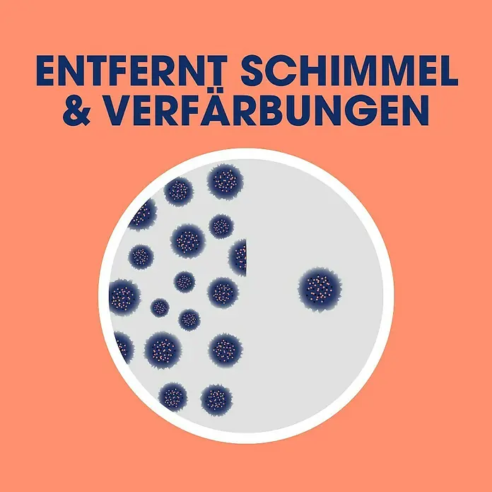 Sagrotan Schimmelspray Schimmel-Frei - 750 ml, Sprühflasche - Das Bild zeigt eine Reinigungsanzeige mit dem Text „ENTFERNT SCHIMMEL & VERFÄRBUNGEN“ und einer Darstellung von Schimmelpilzen.