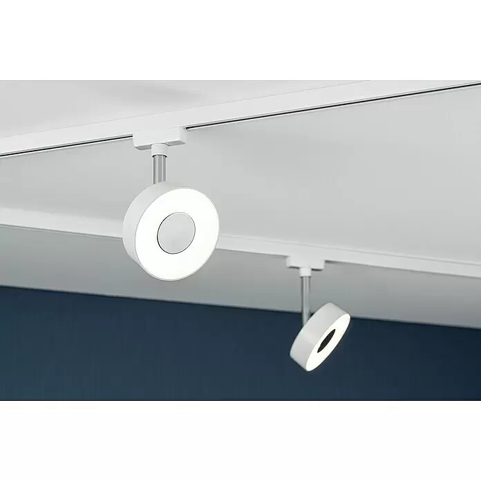 Paulmann URail LED-Spot Circle - 5 W, Weiß, Warmweiß - Zwei weiße runde Schienenstrahler sind an einer Deckenschiene montiert und beleuchten eine blaue Wand.