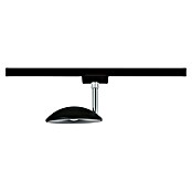 Paulmann URail LED-Spot Sphere (Schwarz, L x B x H: 32 x 119,8 x 183 mm) | BAUHAUS