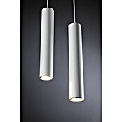 Paulmann URail Lámpara colgante Catalejo (Cromado mate, Altura: 160 cm) | BAUHAUS
