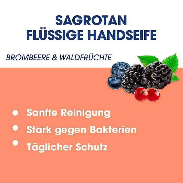 Sagrotan Flüssigseife Sanft zur Haut (Brombeere & Waldfrüchte, 250 ml) | BAUHAUS