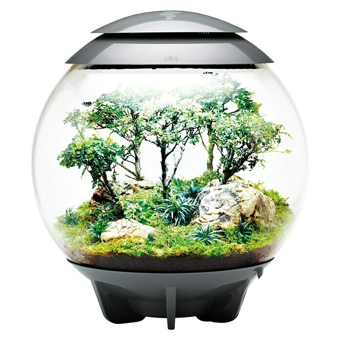 biOrb Terrarium AIR60 l, Grau Front View