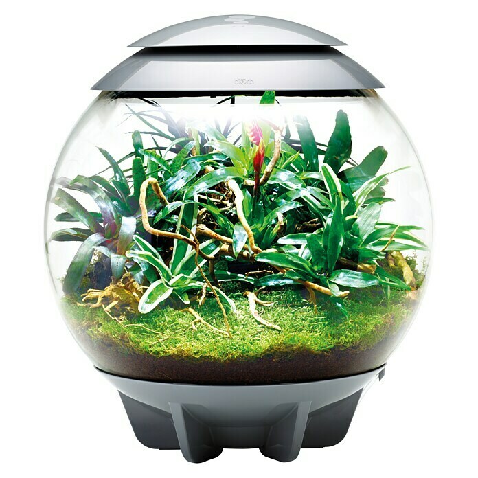 biOrb Terrarium AIR60 l, Grau Front View