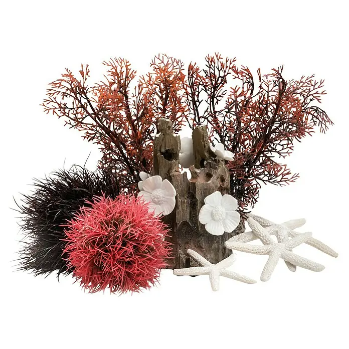 biOrb Deko-Set für Aquarien Red Forest - 8 -tlg., Rot/Weiß, Passend für: Aquarien ab 15 l - Aquarium-Dekoration mit Korallen, Seesternen und künstlichen Pflanzen für eine lebendige Unterwasserwelt.