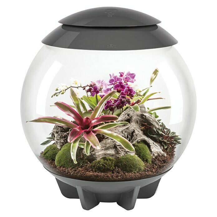 biOrb Terrarium AIR60 l, Grau Front View