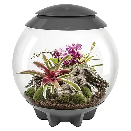 biOrb  Terrarium AIR