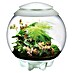 biOrb Terrarium AIR 