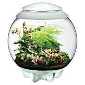 biOrb Terrarium AIR (60 l, Weiß)