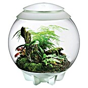 biOrb Terrarium AIR (60 l, Weiß)