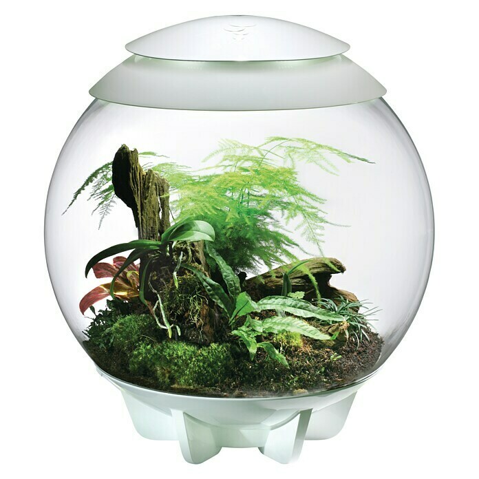 biOrb Terrarium AIR60 l, Weiß Front View