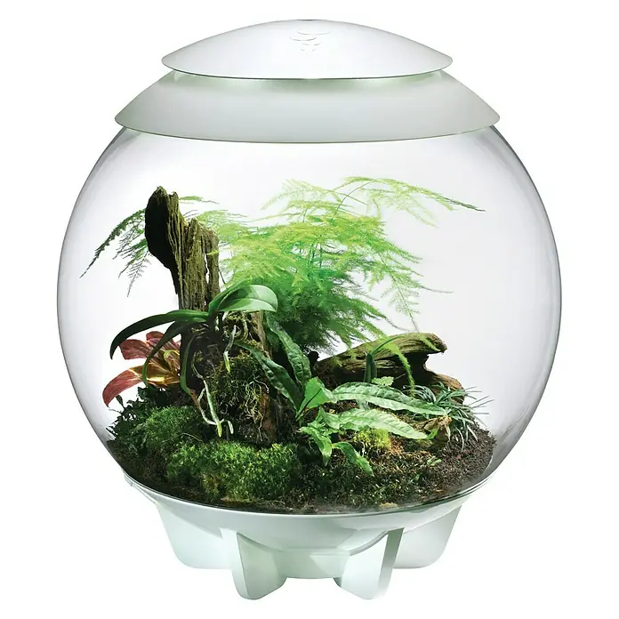 biOrb Terrarium AIR - Ø x H: 51,2 x 57,8 cm, 60 l, Weiß, Kunststoff - Dieses Bild zeigt ein kugelförmiges BiOrb-Terrarium mit Pflanzen. Ideal für Reptilien und Amphibien.