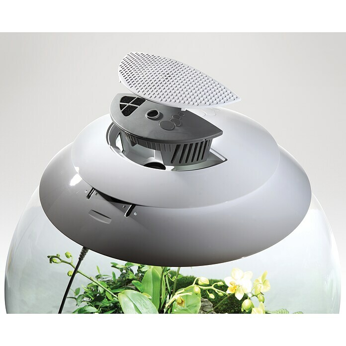 biOrb Terrarium AIR (60 l, Weiß)