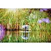 Oase Wasserspielpumpe Aquarius Set 2000 E (18 W, Fördermenge pro Std.: 2 100 l) | BAUHAUS