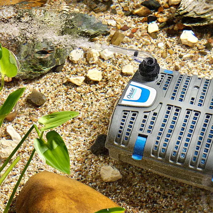 Oase Unterwasserfilter Filtral UVC 1500 - 5 W, Teichgröße: 1,5 m³ - Nahaufnahme eines Oase Innenfilters im Aquarium, der für sauberes Wasser und eine gesunde Umgebung sorgt.