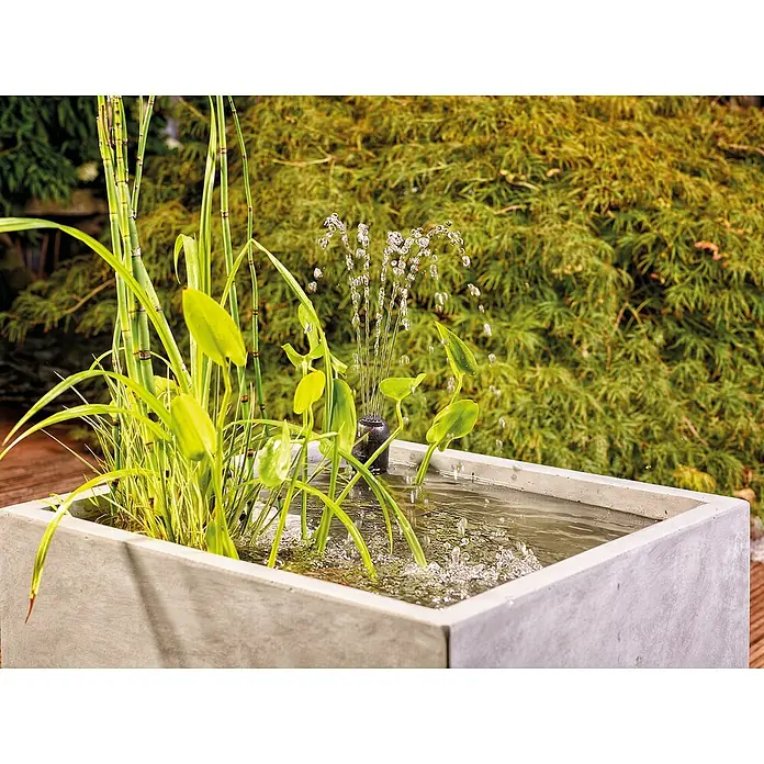 Oase Unterwasserfilter Filtral UVC 1500 - 5 W, Teichgröße: 1,5 m³ - Nahaufnahme eines modernen quadratischen Betonbrunnenbeckens mit Wasserspiel, Pflanzen und einem Hintergrund aus üppigem Grün.
